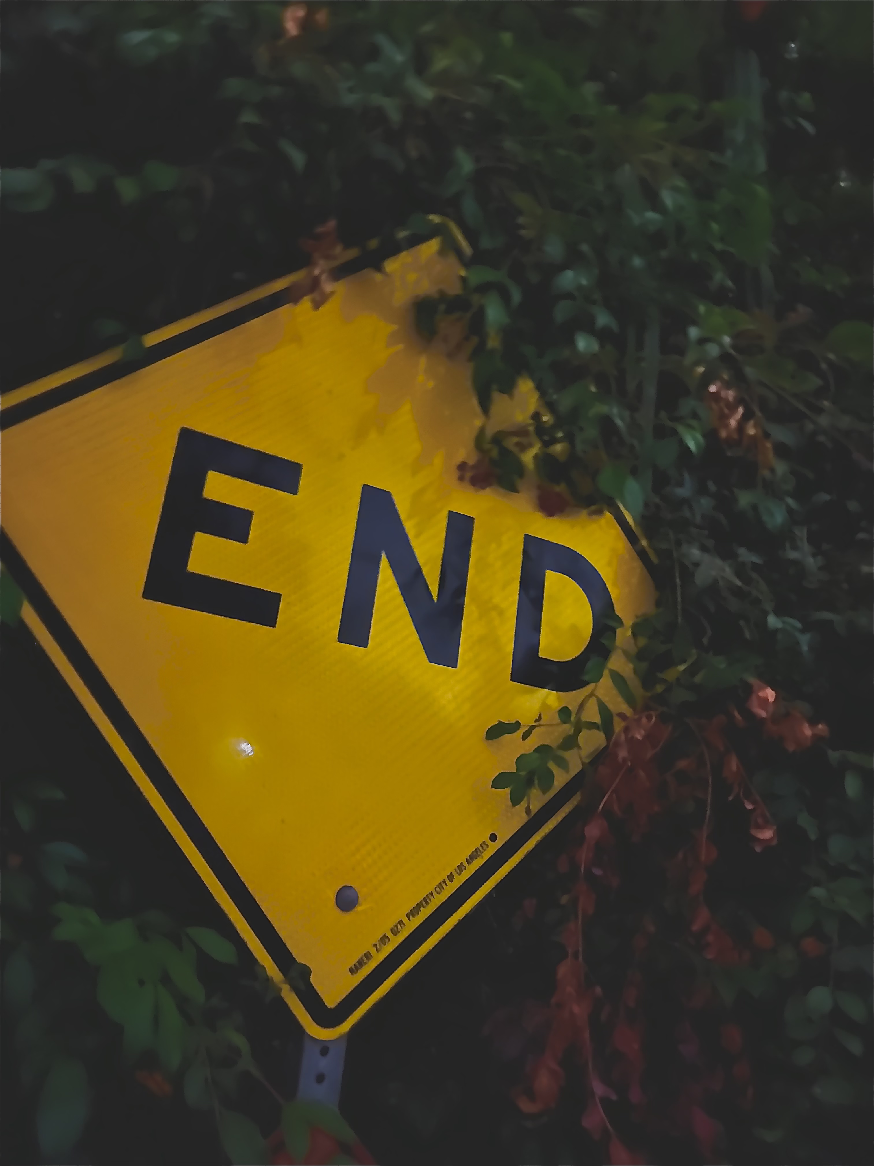 A road sign partially buried in leaves reading 'End'